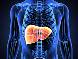 Hepatitis C ECHO - 2026 Banner