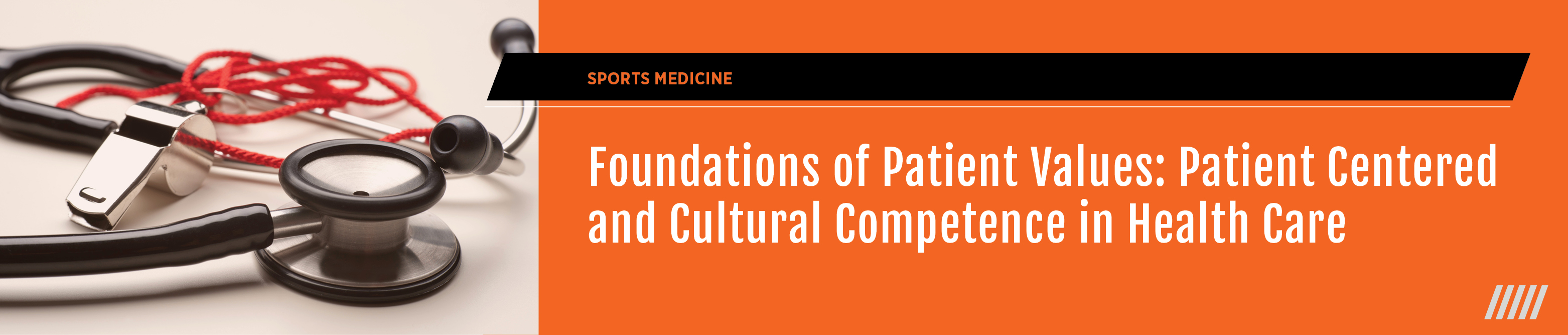 Foundations of Patient Values: Patient Centered and Cultural Competence in Healthcare - 2021 Spring Fling Banner